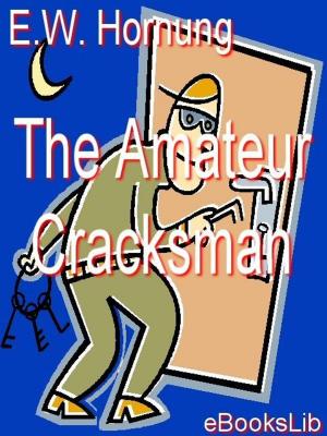 Cover of the book The Amateur Cracksman by Edgar Allan Poe