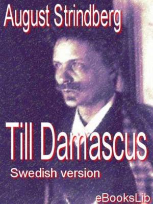 Cover of the book Till Damascus by C.H. Becker