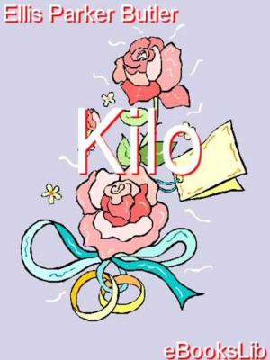 Book cover of Kilo