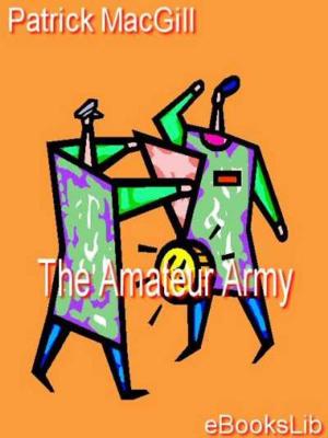Cover of the book The Amateur Army by abbé Prévost