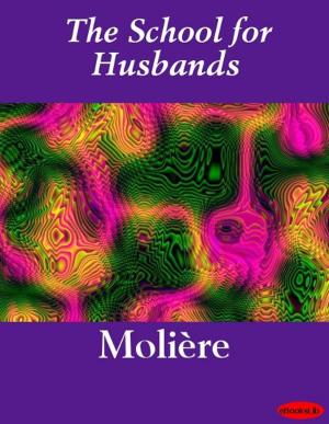 Book cover of The School for Husbands