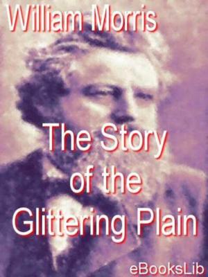 Cover of the book The Story of the Glittering Plain by John Galsworthy