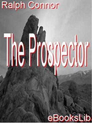 bigCover of the book The Prospector by 