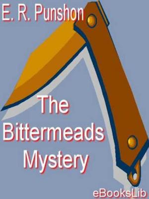 Cover of the book The Bittermeads Mystery by Richard le Gallienne