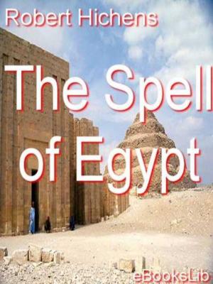 Book cover of The Spell of Egypt