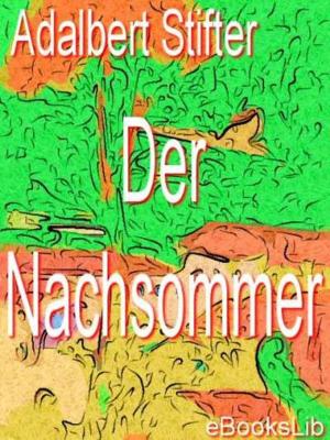 Book cover of Nachsommer, Der