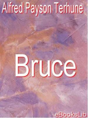 Cover of the book Bruce by Honoré de Balzac