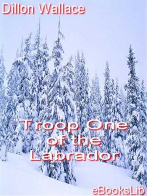 Cover of the book Troop One of the Labrador by Mary E. Wilkins Freeman