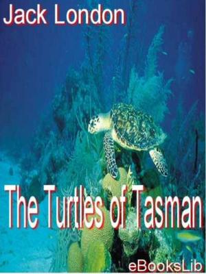 Cover of the book The Turtles of Tasman by Friedrich de la Motte Fouque