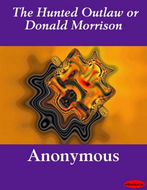 Cover of The Hunted Outlaw or Donald Morrison
