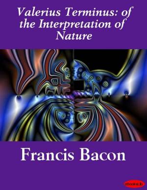 Cover of the book Valerius Terminus: of the Interpretation of Nature by eBooksLib