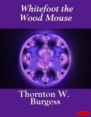 Cover of the book Whitefoot the Wood Mouse by Louis Fréchette