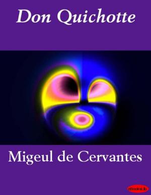 bigCover of the book Don Quichotte - Tome 1 by 