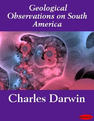 Book cover of Geological Observations on South America