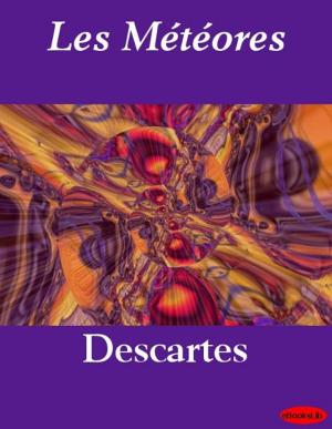 Book cover of Les Météores