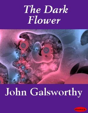 Cover of the book The Dark Flower by James Lane Allen