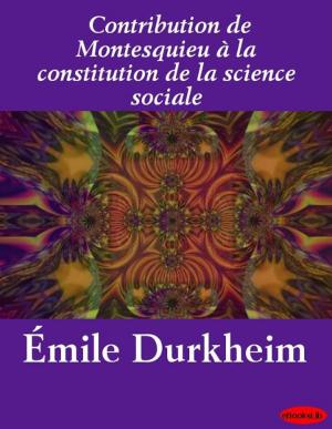Cover of the book Contribution de Montesquieu à la constitution de la science sociale by Emile Nelligan