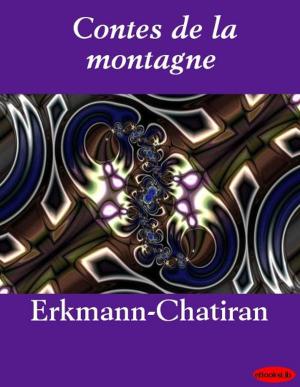 Cover of the book Contes de la montagne by eBooksLib