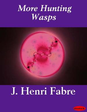 Cover of the book More Hunting Wasps by Henry James