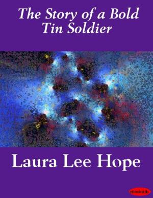 Book cover of The Story of a Bold Tin Soldier