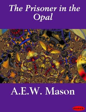 bigCover of the book The Prisoner in the Opal by 