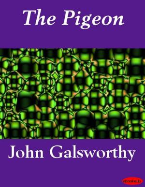 bigCover of the book The Pigeon by 