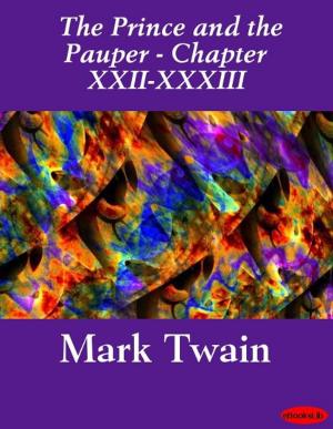 Cover of the book The Prince and the Pauper (Illustrated) - Chapters XXII-XXXIII by eBooksLib