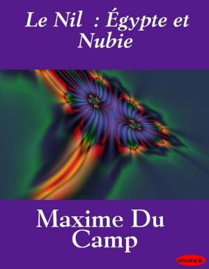 Cover of Le Nil : Égypte et Nubie