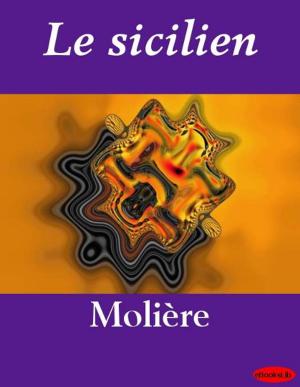 Book cover of Le sicilien