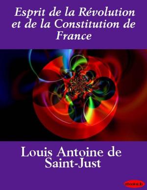 Cover of the book Esprit de la Révolution et de la Constitution de France by abbé Prévost