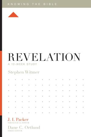 Cover of the book Revelation by Jerry B. Jenkins, John Perrodin