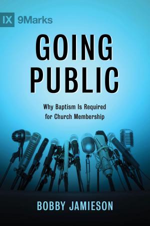Cover of the book Going Public by Robert Lintzenich