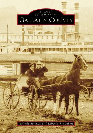 Cover of the book Gallatin County by Mark Fadden