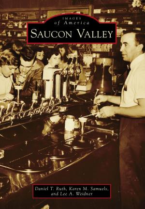 bigCover of the book Saucon Valley by 