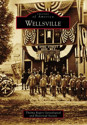 Cover of the book Wellsville by Chris Epting, Dean O. Torrence