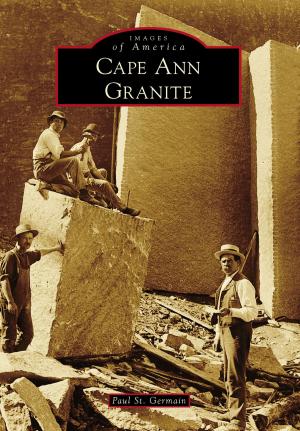 Cover of the book Cape Ann Granite by Patrick Tierney Wild