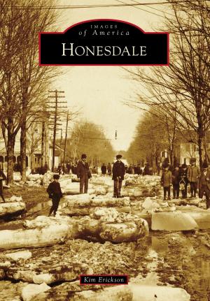 Cover of the book Honesdale by Baldwin G. Burr