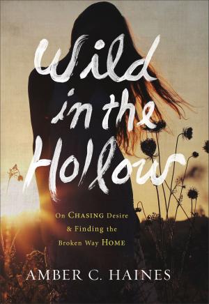 Cover of the book Wild in the Hollow by Brittany Rust
