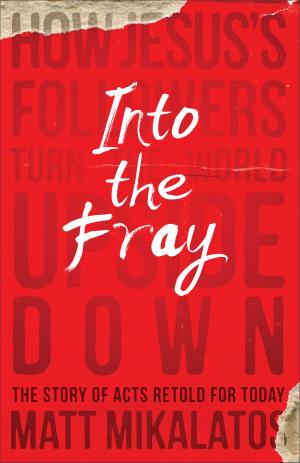 Cover of the book Into the Fray by Ronald J. Sider