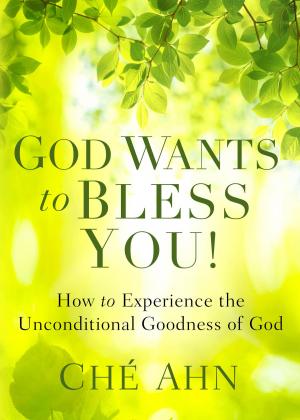 Cover of the book God Wants to Bless You! by Julie Klassen