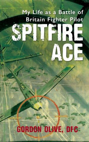 Cover of the book Spitfire Ace by John Christopher