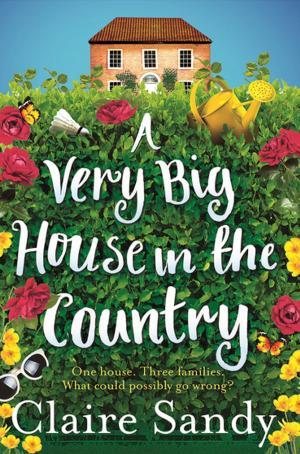 Cover of the book A Very Big House in the Country by Karen Swan