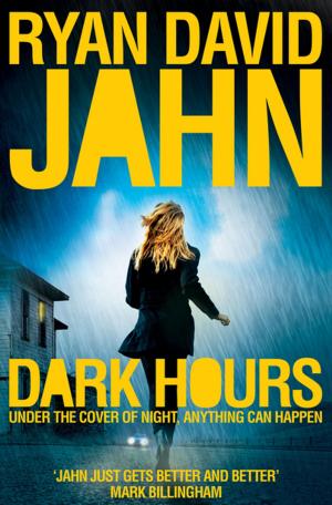 Cover of the book Dark Hours by Steve Karmazenuk
