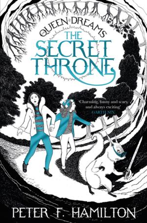 Cover of the book The Secret Throne by David Fiddimore