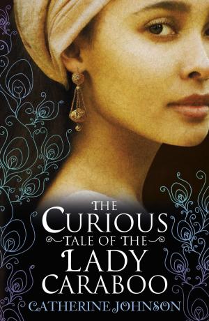 Cover of The Curious Tale of the Lady Caraboo