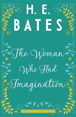 Book cover of The Woman Who Had Imagination