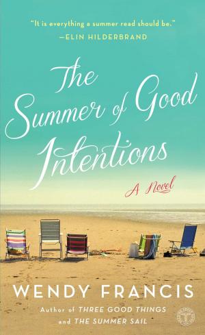 Cover of the book The Summer of Good Intentions by Carla D E Godfrey