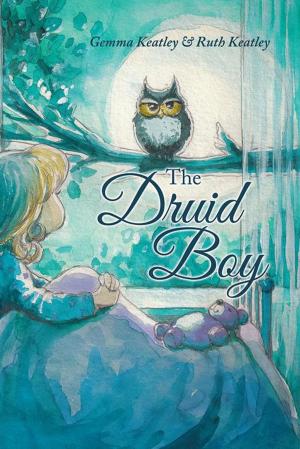 Cover of the book The Druid Boy by Eliane Barben