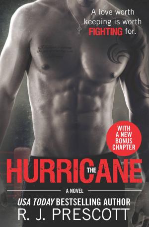 Cover of the book The Hurricane by Brian Haig