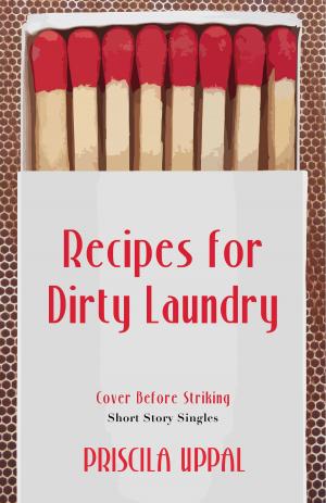 Cover of the book Recipes for Dirty Laundry by Heather Burt